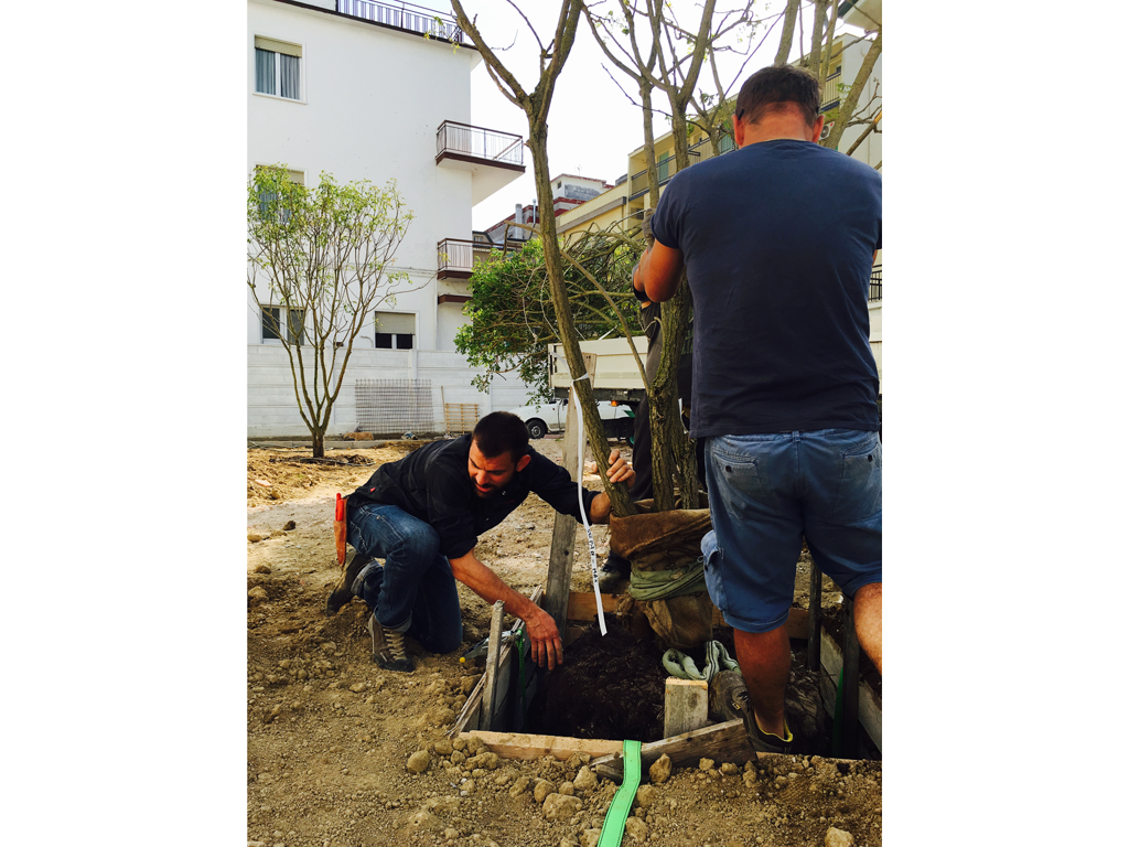 B&B-al-mare---realizzazione---2